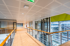 For rent: Piet Mondriaanplein, 3812 GZ Amersfoort