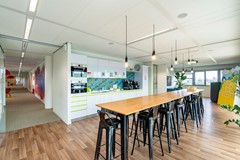For rent: Papendorpseweg 83, 3528 BJ Utrecht