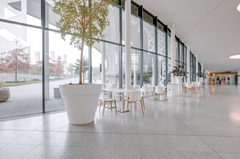 Huur:Papendorpseweg, 3528 BJ Utrecht - Foto