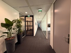 For rent: Papendorpseweg, 3528 BJ Utrecht