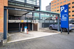DSC06494.jpg
