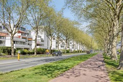 Zwijnsbergenstraat1574834JNBreda-35.jpg