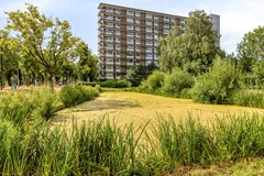 Antwerpenstraat1584826HEBreda-02.jpg