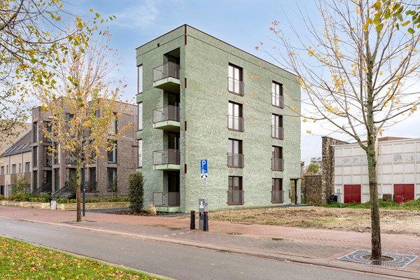 BurgemeesterMichielsvanKessenichpassage1B6224EJMaastricht-06.jpg