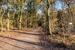 Nieuw in verkoop: Roerstraat 48, 5704 MC Helmond