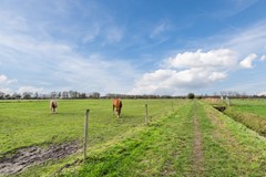 Nieuw in verkoop: De Haag 89, 5421 NM Gemert