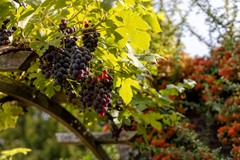 Onder bod: Beatrixstraat 45, 4532 AV Terneuzen