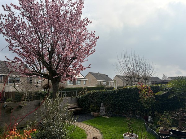 Medium property photo - Robijnboog 26, 4533 BA Terneuzen