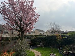 Onder bod: Robijnboog 26, 4533 BA Terneuzen