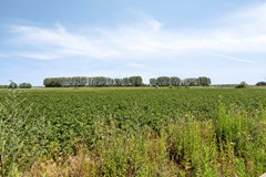 Nieuw in verkoop: Graaf Jansdijk, 4571 SH Axel