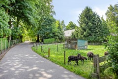 Verkocht: Kiekeboslaantje 10, 8024 PN Zwolle