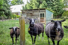 Verkocht: Kiekeboslaantje 10, 8024 PN Zwolle