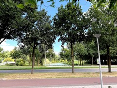 Verkocht: Ten Oeverstraat 134, 8012 EZ Zwolle