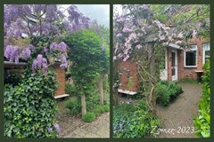 Verkocht: Van der Grondenmarke 18, 8016 AL Zwolle