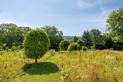 53.jpg