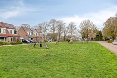 Mattenvlechter109341CBVeenhuizenNL-27.jpg