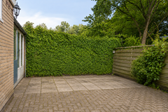 Tuin 1.png
