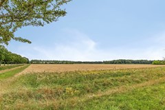 Meidoornlaan29341APVeenhuizenNL-43.jpg