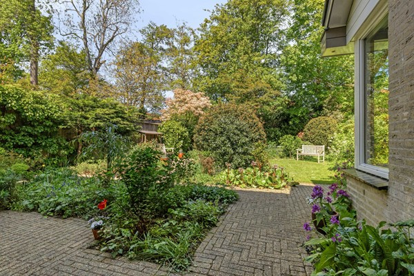 VanEijsingapark52333vjLeiden-47.jpg