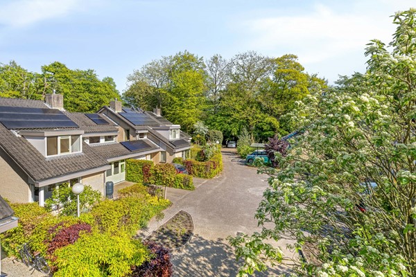 VanEijsingapark52333vjLeiden-54.jpg