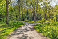 VanEijsingapark52333vjLeiden-59.jpg