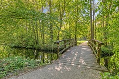 VanEijsingapark52333vjLeiden-60.jpg