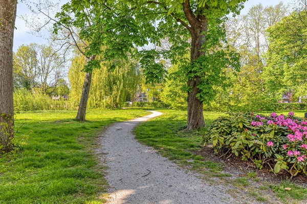 VanEijsingapark52333vjLeiden-62.jpg