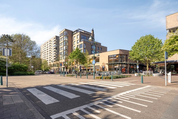 Ridderspoorlaan62343tzOegstgeestNL-60.jpg