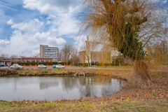 Kalmoesstraat 10-6832 EK Arnhem6.jpg