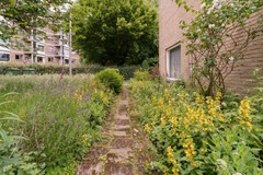 Havikstraat 7 Arnhem8.jpg