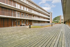 Jacobus Bellamyhove 33G - 26.jpg