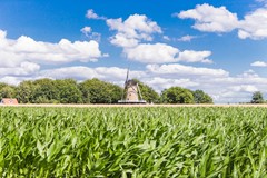 Stork_Metaal_030719_117.jpg