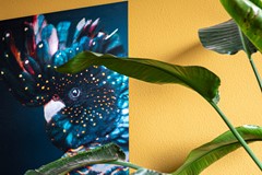 Anna van Hensbeeksingel 48, Gouda-13a.jpg