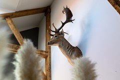 13 Woudevoirt 38-14.jpg