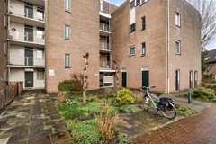 Koraalzwam187Alphen-01.jpg