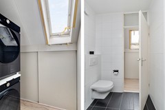 Koraalzwam187Alphen-32.jpg