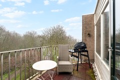 Koraalzwam187Alphen-24.jpg