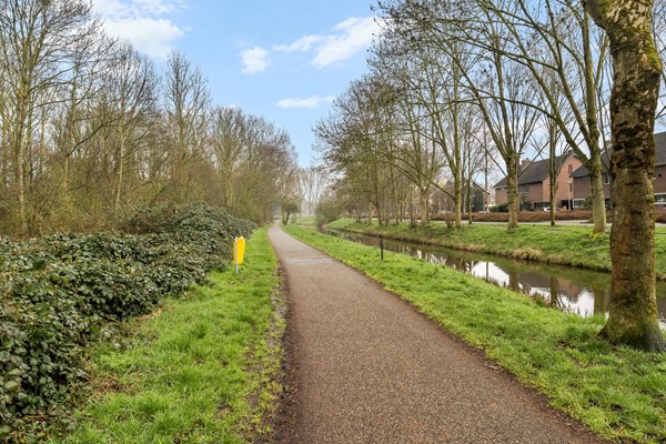 Koraalzwam187Alphen-36.jpg
