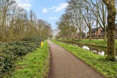 Koraalzwam187Alphen-36.jpg