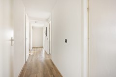 FOTOPieterCalandlaan696--11.jpg