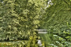 Van Nijenrodeweg 660 - 23.jpg