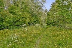 Voorthuizenstraat 113 - 27.jpg
