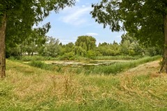 E. du Perronstraat 25 - 41.jpg