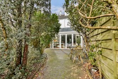 Korenbloem 13 - 13.jpg