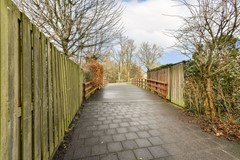 Korenbloem 13 - 24.jpg