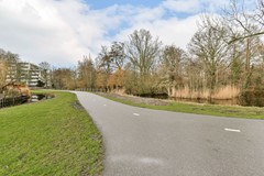 Korenbloem 13 - 26.jpg