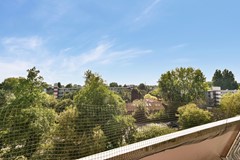 Stadzicht 50 - 13.jpg