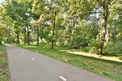 Stadzicht 50 - 25.jpg
