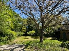 IMG_2168.jpeg