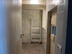 IMG_2201.jpeg